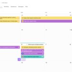 Asana Team Calendar - Digital Network Savvy