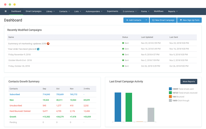 Campaigner Email Reporting - Digital Network Savvy