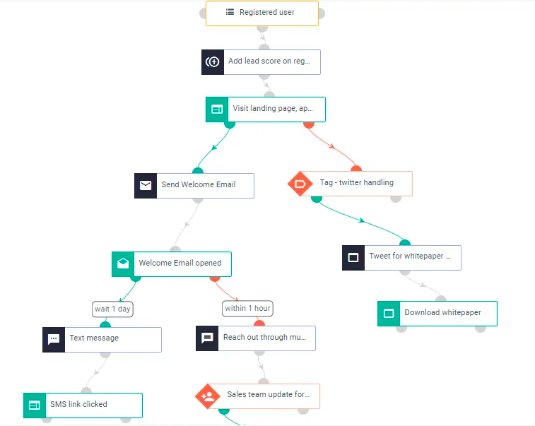 Campaigner Email Workflows - Digital Network Savvy