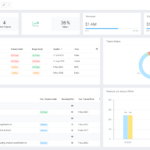 Celoxis Charts and Reporting - Digital Network Savvy