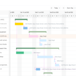 Celoxis Gantt Chart and Timelines - Digital Network Savvy