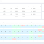 Celoxis Project Portfolio Managment- Digital Network Savvy