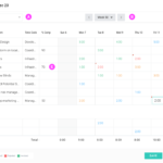 Celoxis Time Tracking - Digital Network Savvy