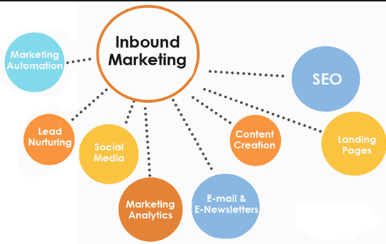 Delight Leads Inbound Marketing - Digital Network Savvy