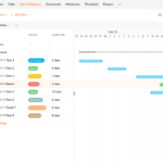 Zoho Projects Gantt Chart - Digital Network Savvy