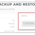 iPage Hosting Backup and Restore - Digital Network Savvy