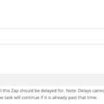 Zapier Delay Steps - Digital Network Savvy